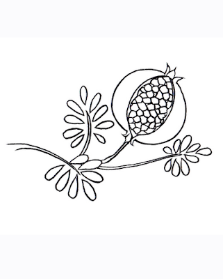 Red Pomegranate Seeds Coloring Pages Picture