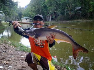 Umpan-Ikan-Patin-Sungai