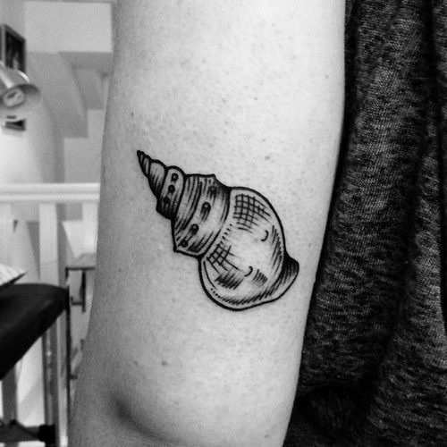 esta_linda_shell_de_tatuagem_6