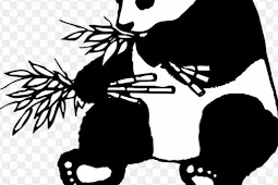 Gambar Kartun Panda Lucu Hitam Putih