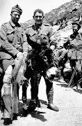 Using the donkey he could rescue three times the men than he could with a . (simpson and his donkey gallipoli tcm )