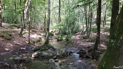 Ruisseau forêt Monthermé