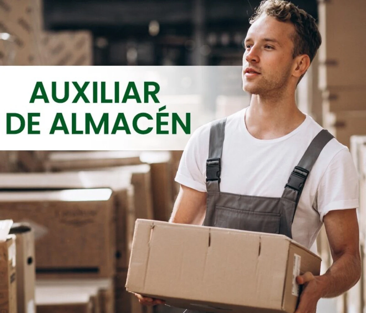 Almacén organizado