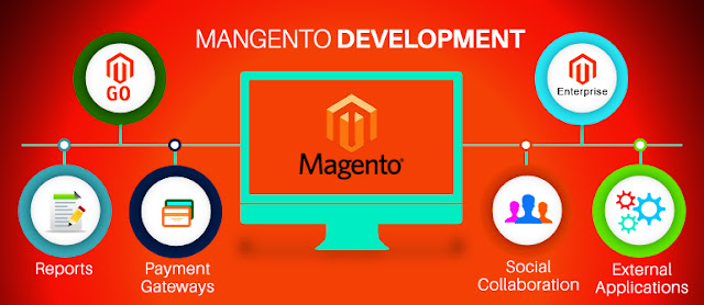  Magento Web Development