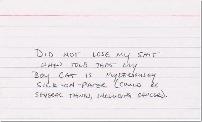 Did not lose my shit when told that my boy cat is mysteriously sick-on-paper (could be several things, including cancer).