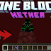 One Block Extremo V.Nether
