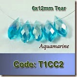 T1CC2 copy