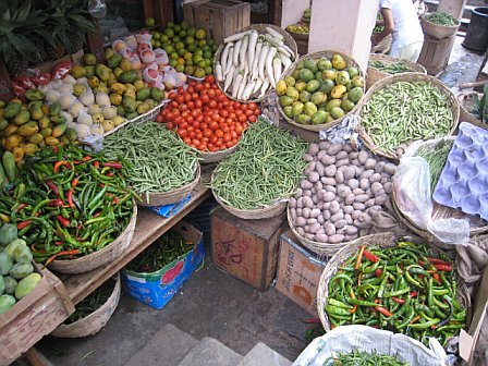 veggies and fruits. fruits vegetables