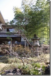 IMG_9764 IMG_9764