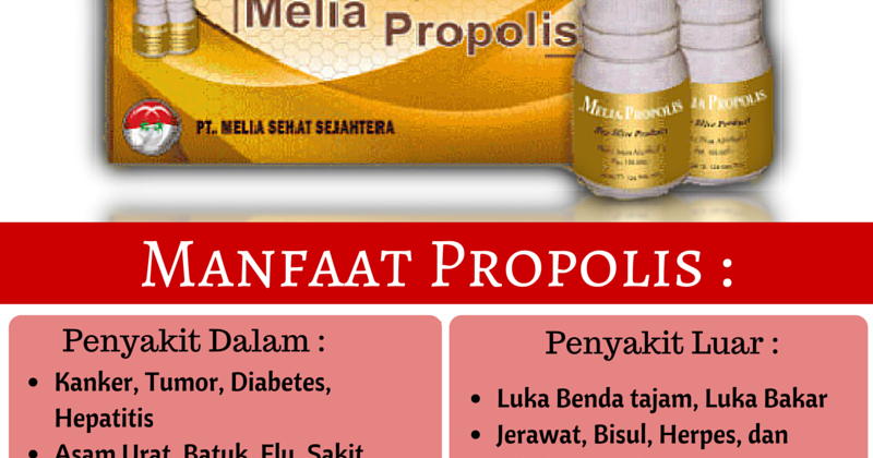 Jual Obat Herbal Kanker Payudara di Jakarta ~ Ahli ...