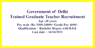 Trained Graduate Teacher Recruitment - Government of  Delhi