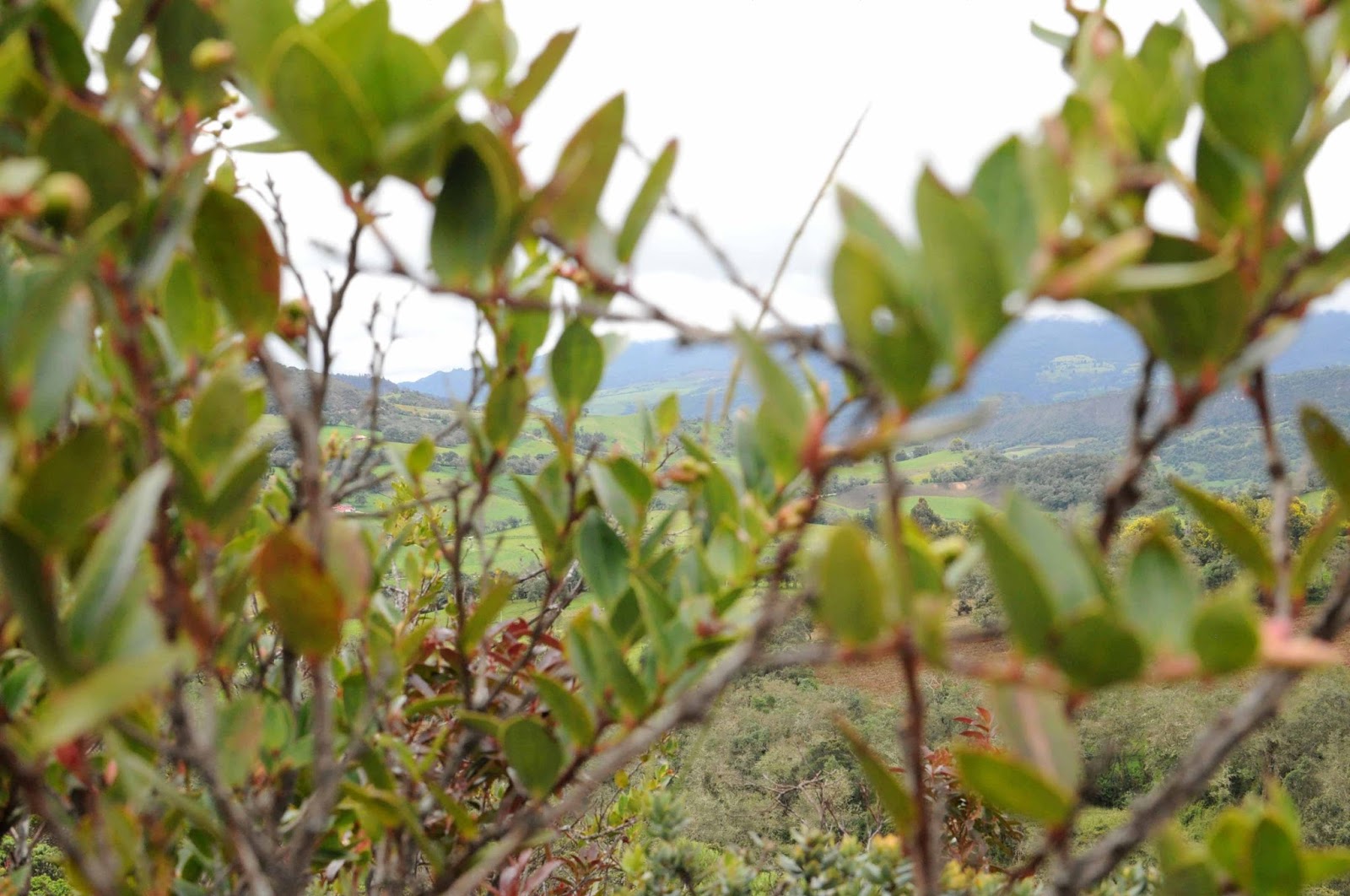 La laguna de Guatavita es un sitio para hacer turismo cerca a Bogotá