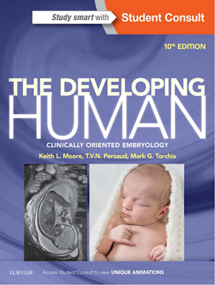 The Developing Human Clinically Oriented Embryology 10th Edition by Keith L. Moore PDF Free Download