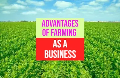 Benefits of farming as a business