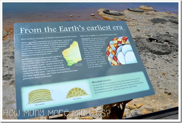 Lake Thetis & Cervantes | How Many More Minutes?