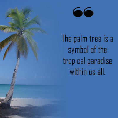 Best Palm tree quotes2