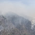 उत्तरकाशी के जंगलों में भीषण आग का तांडव जारी, आग लगाने वालों पर मुकदमा दर्ज 