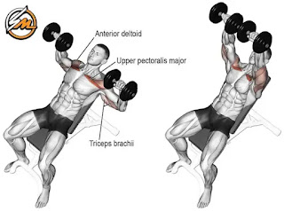 12 Best Chest and Shoulder Workout With Dumbbells