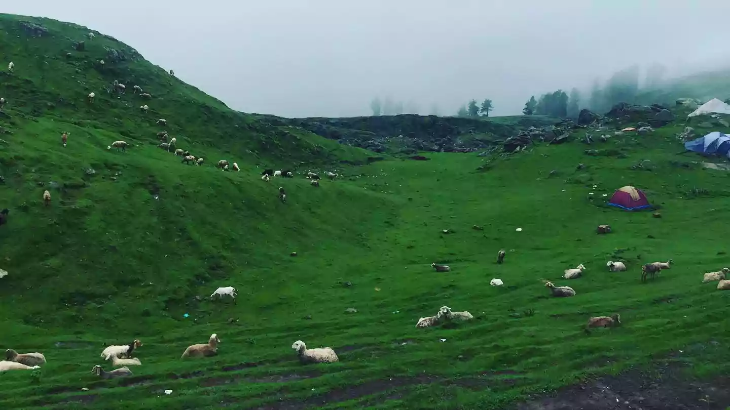 Ganga Choti Azad Kashmir | Easiest Hiking Track in Bagh