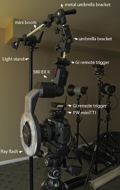 chris martin photography-DIY Rayflash setup