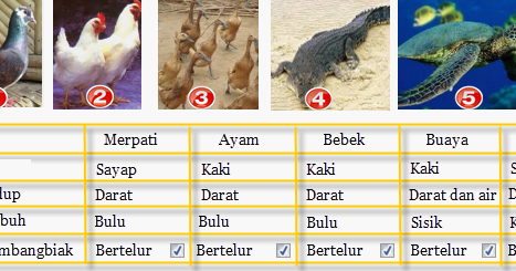  Macam macam  penggolongan Hewan  berdasarkan ciri tertentu 