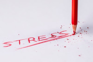 What is stress-What causes stress