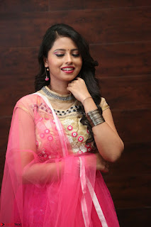 Geethanjali sizzles in Pink at Mixture Potlam Movie Audio Launch 048.JPG