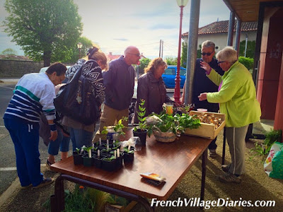 French Village Diaries plant swap