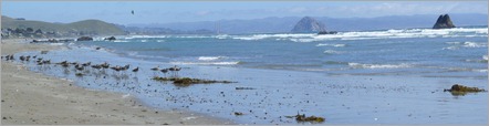 Morro Rock from Cayucos 
