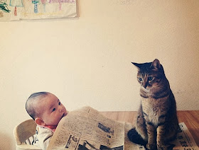 foto kucing bernama toco dan seorang bayi 07