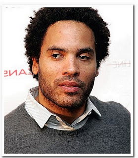 Ideal Hairstyles for Black Men 2013