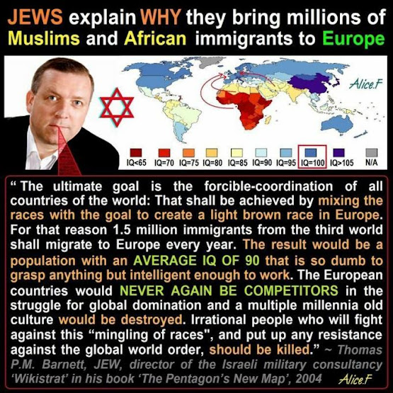 Jews explain why they bring billions of Muslims and African imigrants to Europe