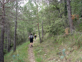 Senderismo - Vallibona - Turmell - Santa Àgueda
