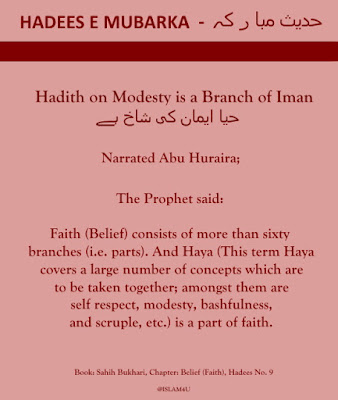 Hadith on Modesty is a Branch of Iman - English