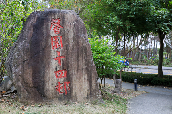 台中霧峰亞洲大學杜鵑花盛開，整座校園充滿繽紛色彩好美好好拍