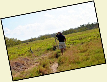 12 - Through the grass prairie