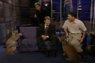 Mountain Lion with Conan O'Brien and Andy Richter