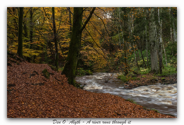 Alyth Burn running right to left away into autumnal woodland surroundings
