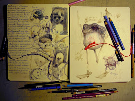 03-Marco-Mazzoni-Surreal-Animal-Drawings-www-designstack-co