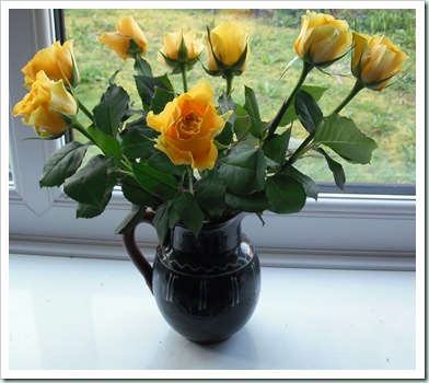 DSCF0053