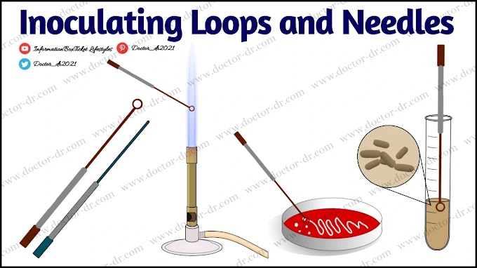 Principle, Components, Types, and Applications of Inoculating Loops and Needles
