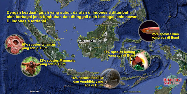 Keanekaragaman Hayati di Indonesia