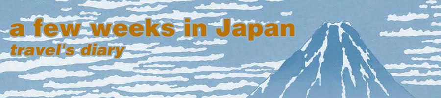 a simple travel's diary