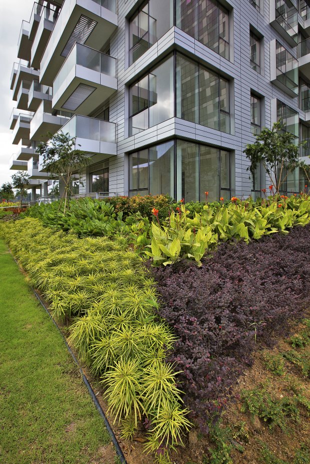 Reflections at Keppel Bay by Studio Daniel Libeskind and some vegetation