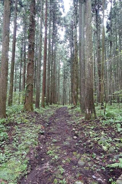 塩の道トレイル