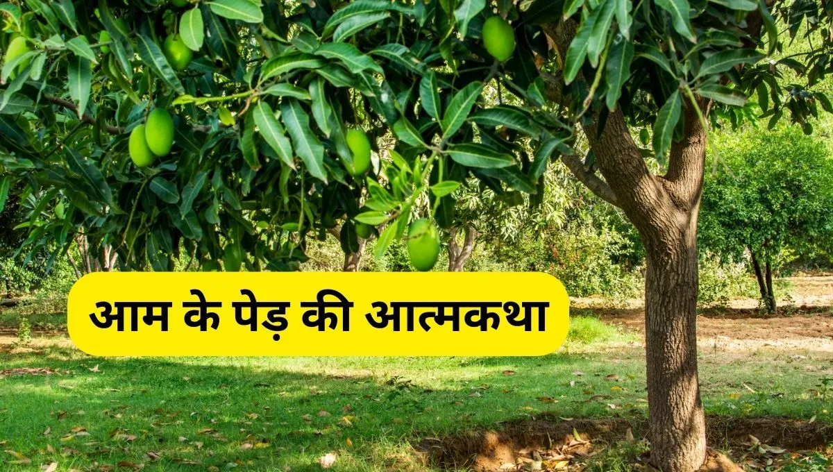आम के पेड़ की आत्मकथा (Aam Ke Ped Ki Atmakatha In Hindi)