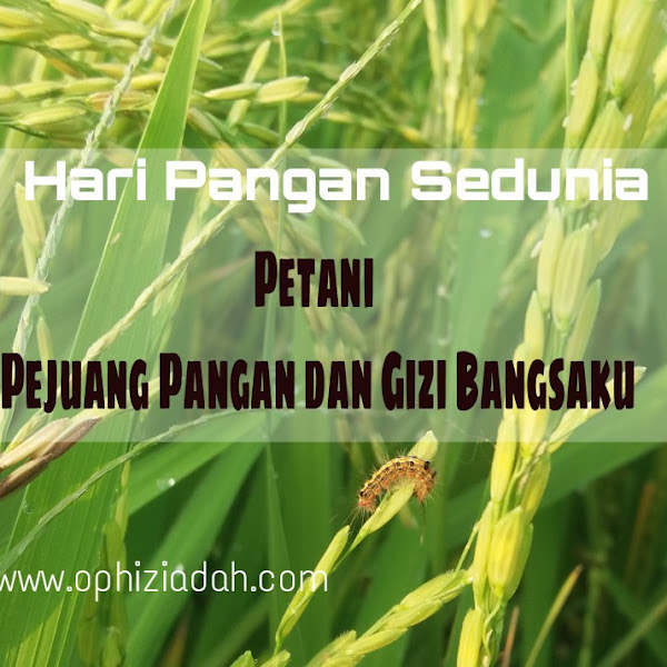 HARI PANGAN SEDUNIA: Petani Pejuang Pangan dan Gizi Bangsaku