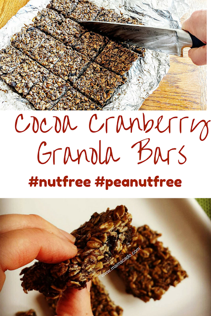 SunButter Cocoa Cranberry Granola Bars Recipe from www.Mamacado.com