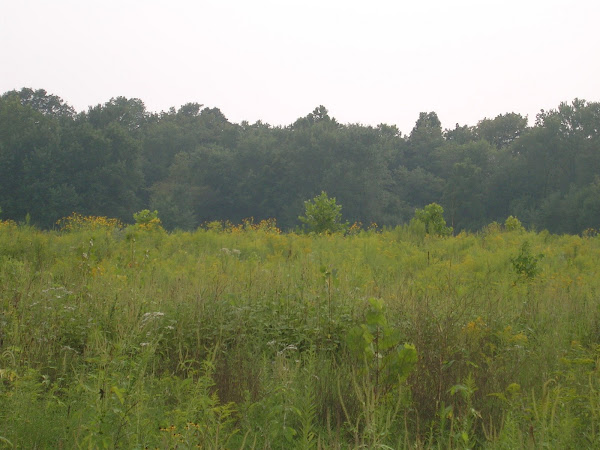 A hazy August day over the prarie