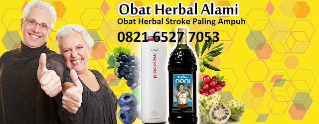 Jual Obat Penyakit Stroke di Humbang Hasundutan 0821 6527 7053/0811 202 7577